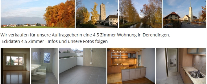immobilien solothurn099