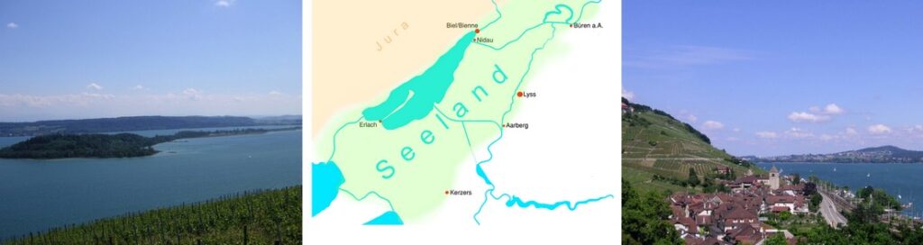 immobilie verkaufen seeland